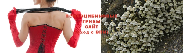 винт Баксан